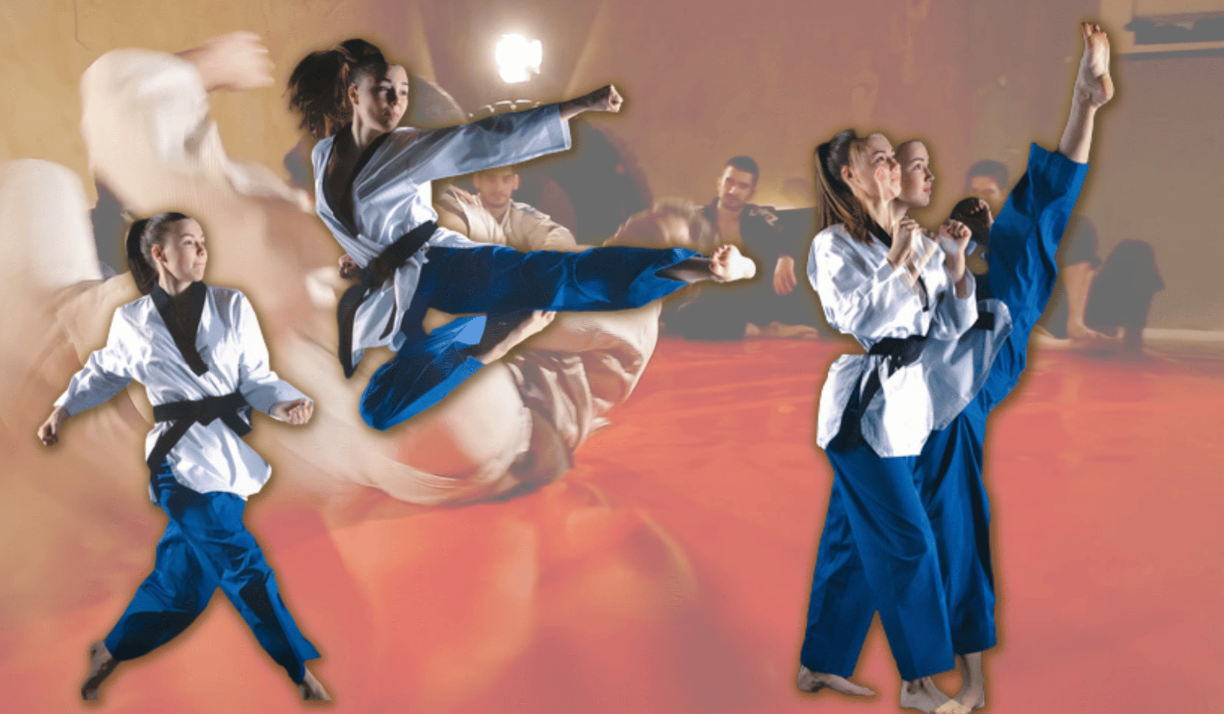 Martial Arts Skills & Progress Software